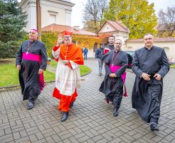 «Хороший полицейский» для Лукашенко: по следам визита спецпосланника Папы Римского в Беларусь