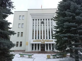 Православную верующую из Минска осудили на 8,5 лет лишения свободы